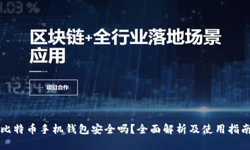 比特币手机钱包安全吗？全面解析及使用指南