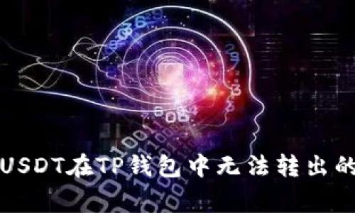 如何解决USDT在TP钱包中无法转出的常见问题