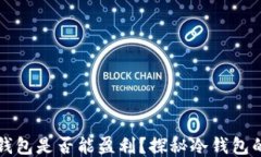 比特币冷钱包是否能盈利