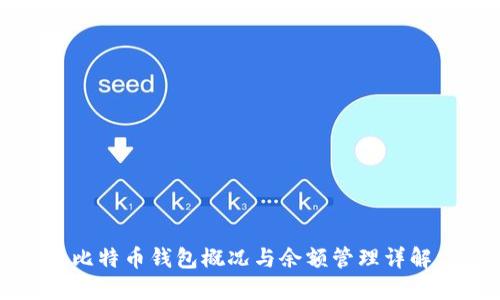 比特币钱包概况与余额管理详解