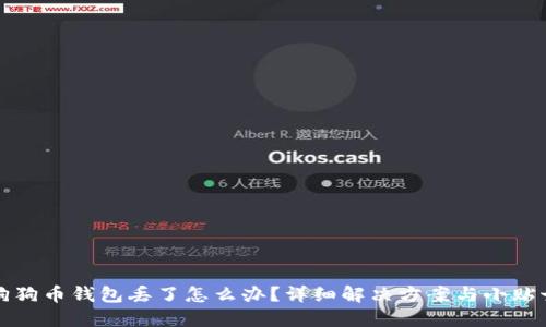 狗狗币钱包丢了怎么办？详细解决方案与小贴士