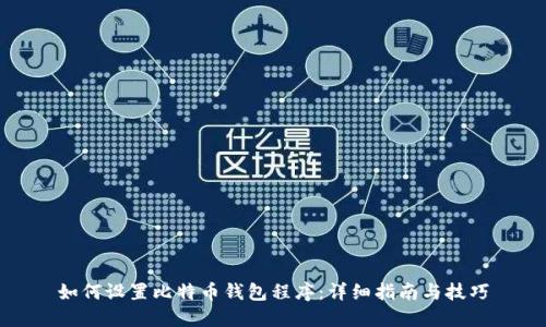 如何设置比特币钱包程序：详细指南与技巧