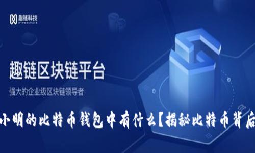 : 究竟小明的比特币钱包中有什么？揭秘比特币背后的秘密