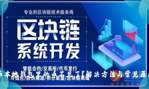 狗狗币本地钱包里的币不见了？解决方法与常见原因解析