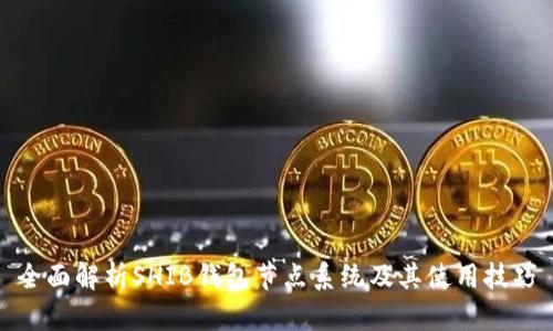 全面解析SHIB钱包节点系统及其使用技巧