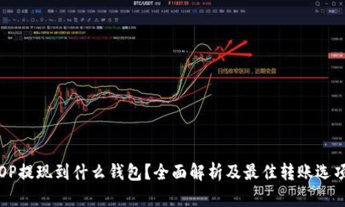 OP提现到什么钱包？全面解析及最佳转账选项