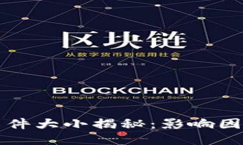 比特币钱包文件大小揭秘：影响因素与管理技巧