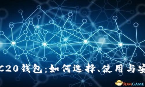 USDT ERC20钱包：如何选择、使用与安全性指南