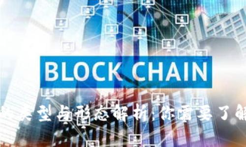 比特币钱包的类型与形态解析：你需要了解的所有信息