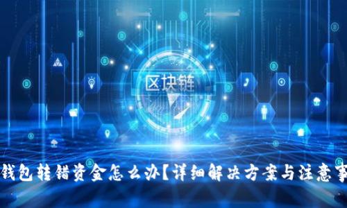 TP钱包转错资金怎么办？详细解决方案与注意事项