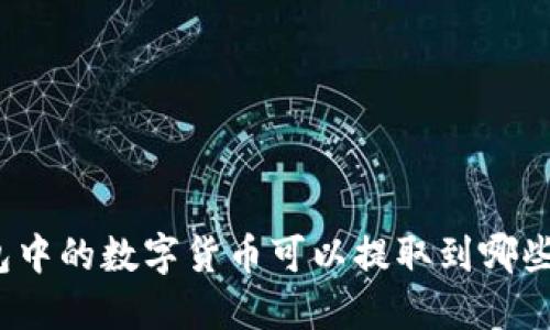 TP钱包中的数字货币可以提取到哪些地方？