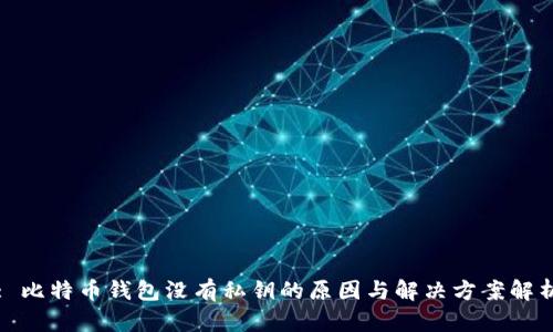 : 比特币钱包没有私钥的原因与解决方案解析
