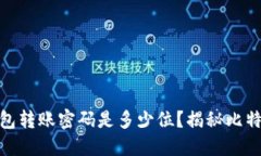 : 最早的比特币钱包转账密