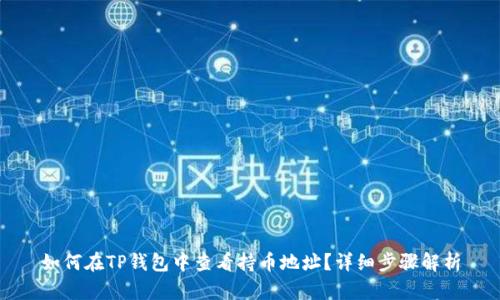 如何在TP钱包中查看持币地址？详细步骤解析