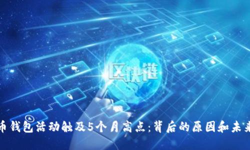 比特币钱包活动触及5个月高点：背后的原因和未来趋势