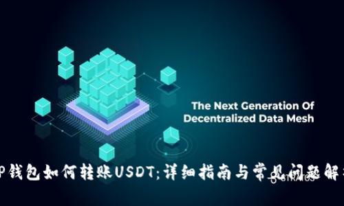 TP钱包如何转账USDT：详细指南与常见问题解析