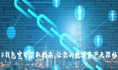 T P钱包宽带获取指南：让你的数字资产无限畅通