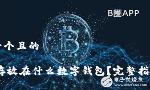 思考一个且的

USDT存放在什么数字钱包？完整指南解析