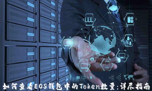 
如何查看EOS钱包中的Token数量：详尽指南