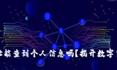 泰达币钱包地址能查到个