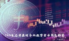 TON生态中最适合的数字货
