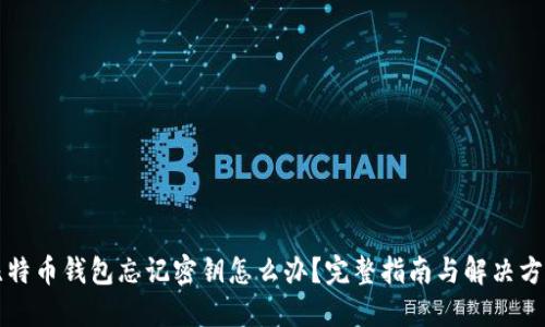 比特币钱包忘记密钥怎么办？完整指南与解决方案
