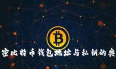 解密比特币钱包地址与私