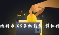 如何下载比特币iOS手机钱
