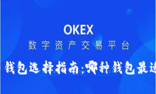 比特币钱包选择指南：哪种钱包最适合你？