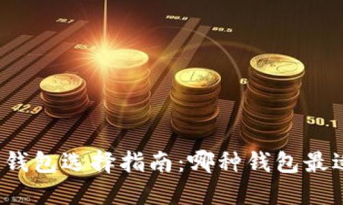 比特币钱包选择指南：哪种钱包最适合你？