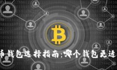 比特币钱包选择指南：哪