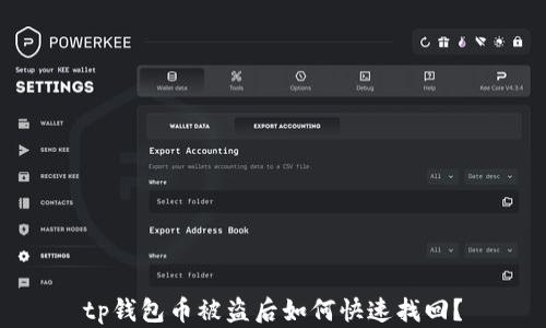 
tp钱包币被盗后如何快速找回？