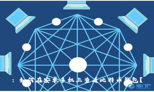 : 如何在安卓手机上查看比特币钱包？