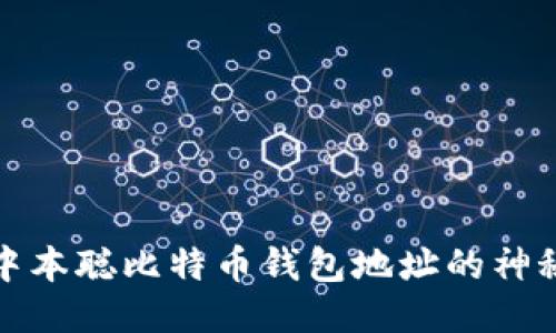 揭开中本聪比特币钱包地址的神秘面纱