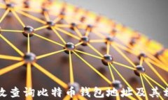 如何有效查询比特币钱包