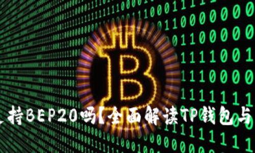 TP钱包收款支持BEP20吗？全面解读TP钱包与BEP20的关系