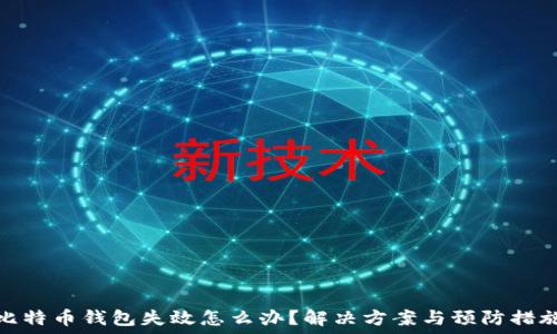   
比特币钱包失效怎么办？解决方案与预防措施