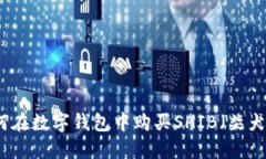 如何在数字钱包中购买S