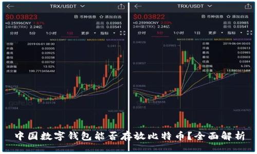 中国数字钱包能否存放比特币？全面解析