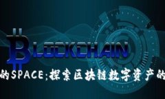 TP钱包的SPACE：探索区块链