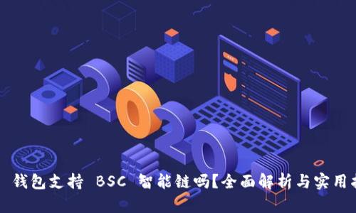 T P 钱包支持 BSC 智能链吗？全面解析与实用指南