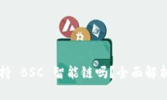 T P 钱包支持 BSC 智能链吗