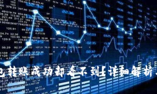 为何TP钱包转账成功却看不到？详细解析与解决方案