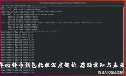 11年比特币钱包数据深度解析：存储需知与未来展望
