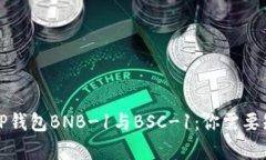 深入解析TP钱包BNB-1与BSC