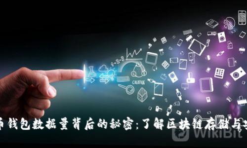 比特币钱包数据量背后的秘密：了解区块链存储与安全性