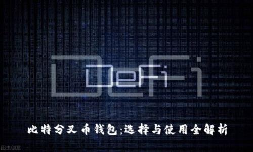 比特分叉币钱包：选择与使用全解析