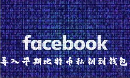 如何安全导入早期比特币私钥到钱包：详尽指南
