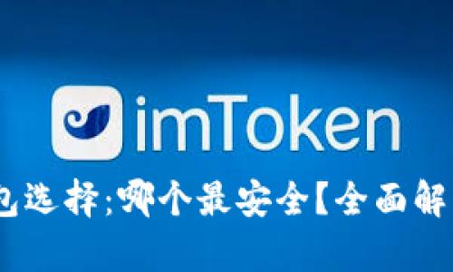 USDT钱包选择：哪个最安全？全面解析与推荐