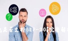 TP钱包是否支持BEP-20？完整